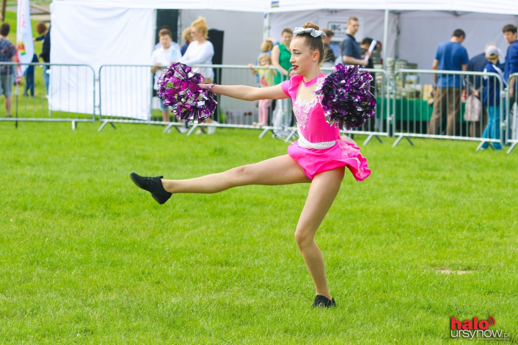 Piknik Cichociemnych