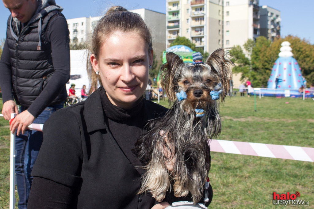 Łapy, łapy, cztery łapy! Wyjątkowy piknik dla czworonogów FOTO