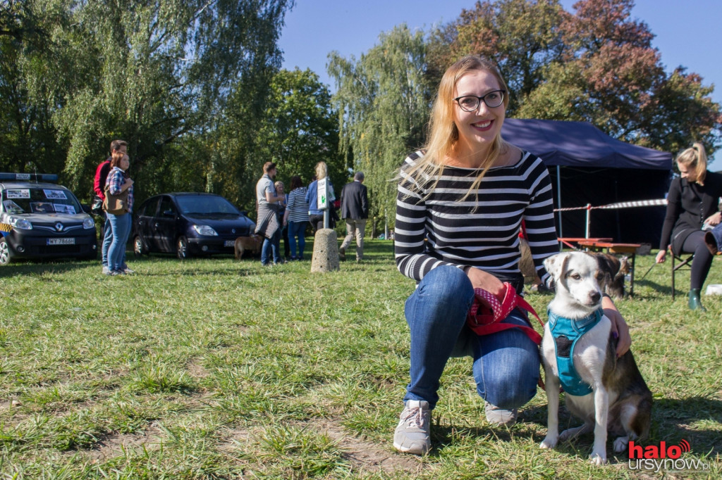 Łapy, łapy, cztery łapy! Wyjątkowy piknik dla czworonogów FOTO