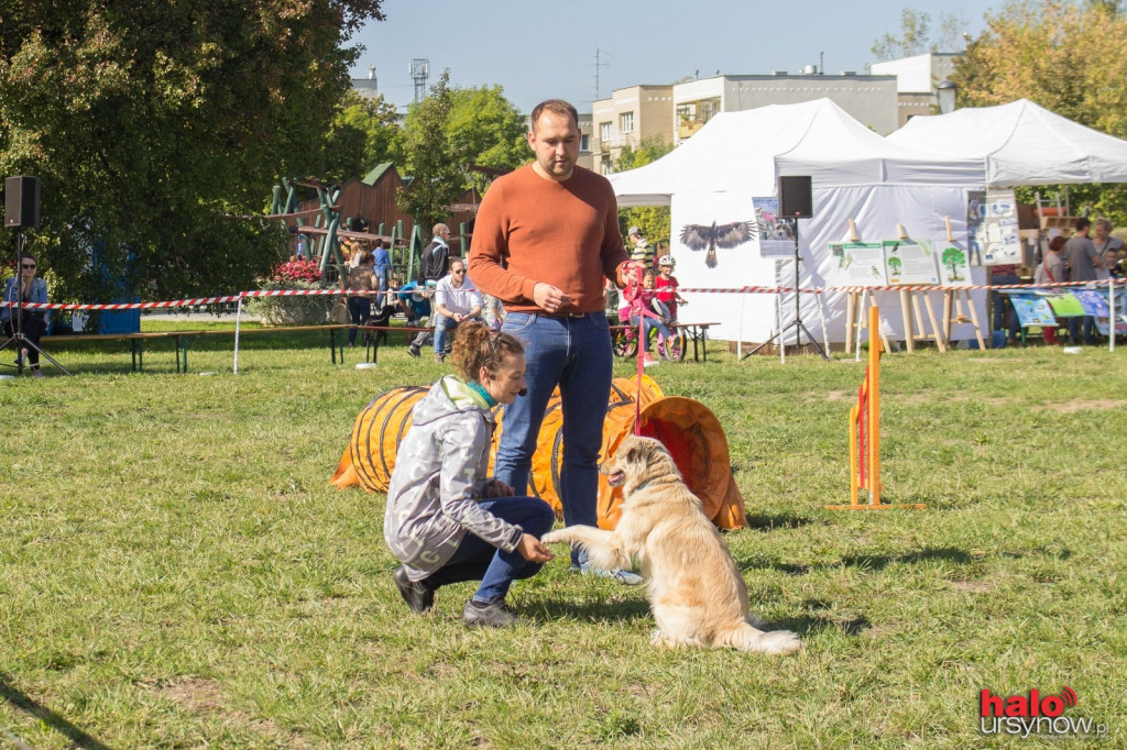Łapy, łapy, cztery łapy! Wyjątkowy piknik dla czworonogów FOTO