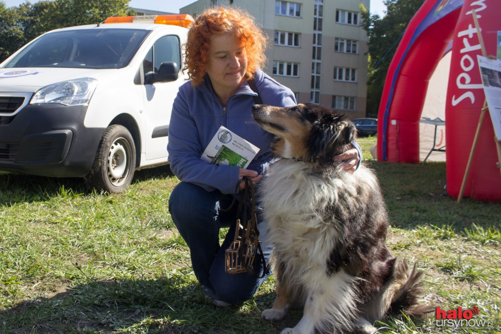 Łapy, łapy, cztery łapy! Wyjątkowy piknik dla czworonogów FOTO