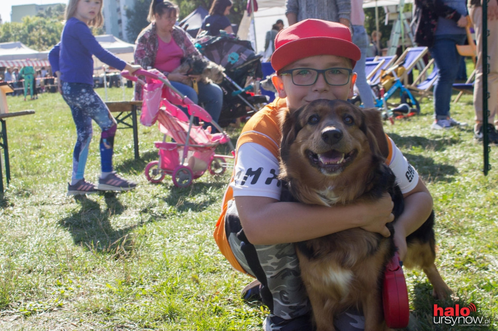 Łapy, łapy, cztery łapy! Wyjątkowy piknik dla czworonogów FOTO