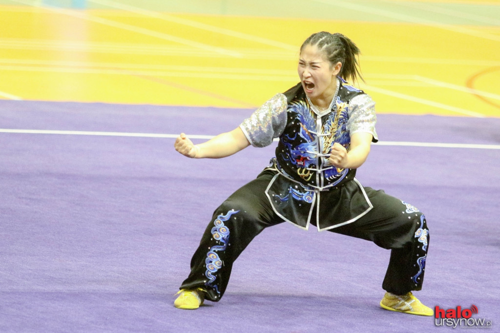 Chińscy mistrzowie Wushu dali pokaz na Ursynowie