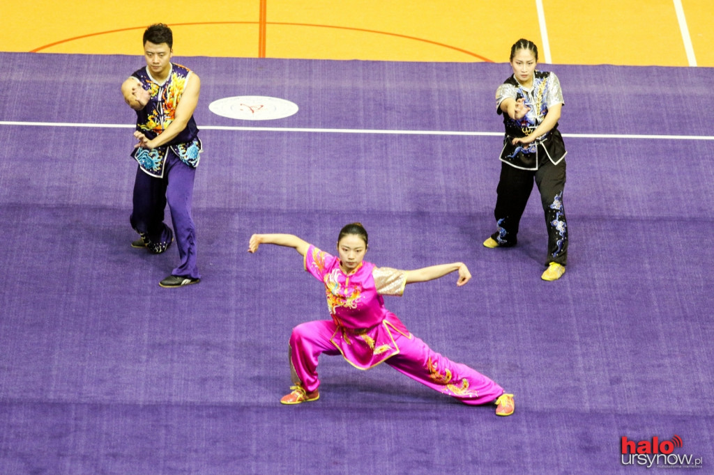 Chińscy mistrzowie Wushu dali pokaz na Ursynowie