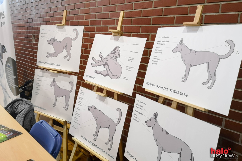Ćwiczyli jogę - zebrali 5,5 tony karmy dla schroniska. Ursynów jest niesamowity!