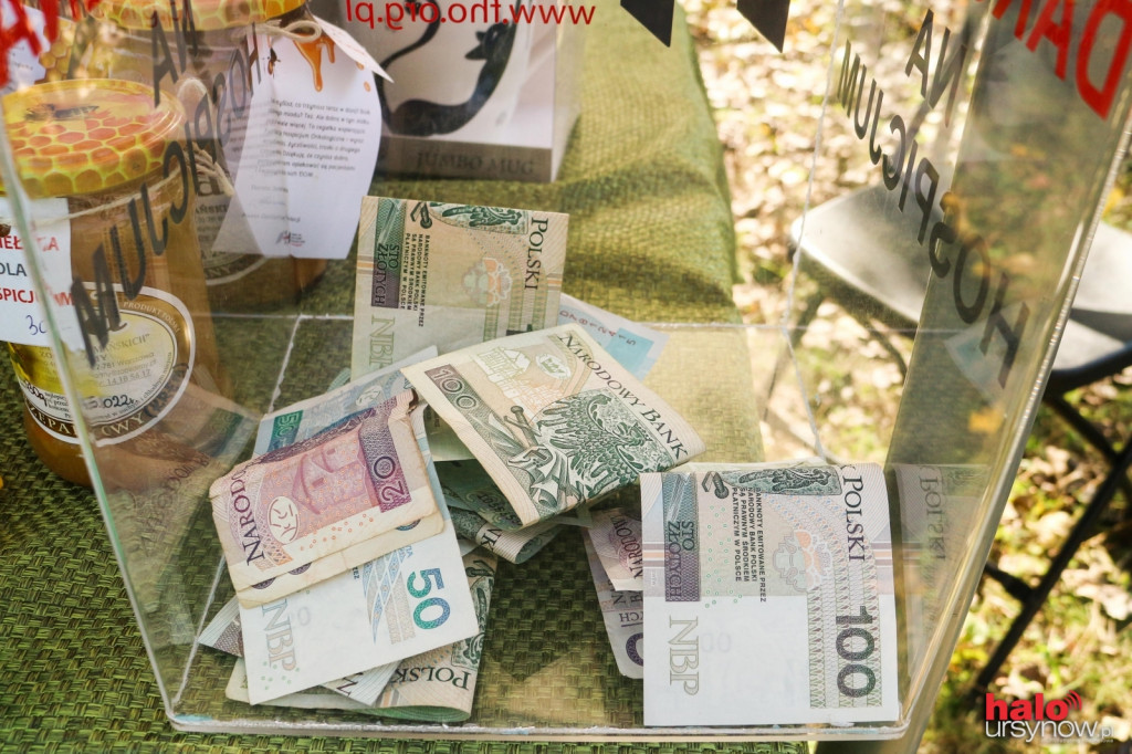 Znów się udało! Hospicjum zostało odczarowane