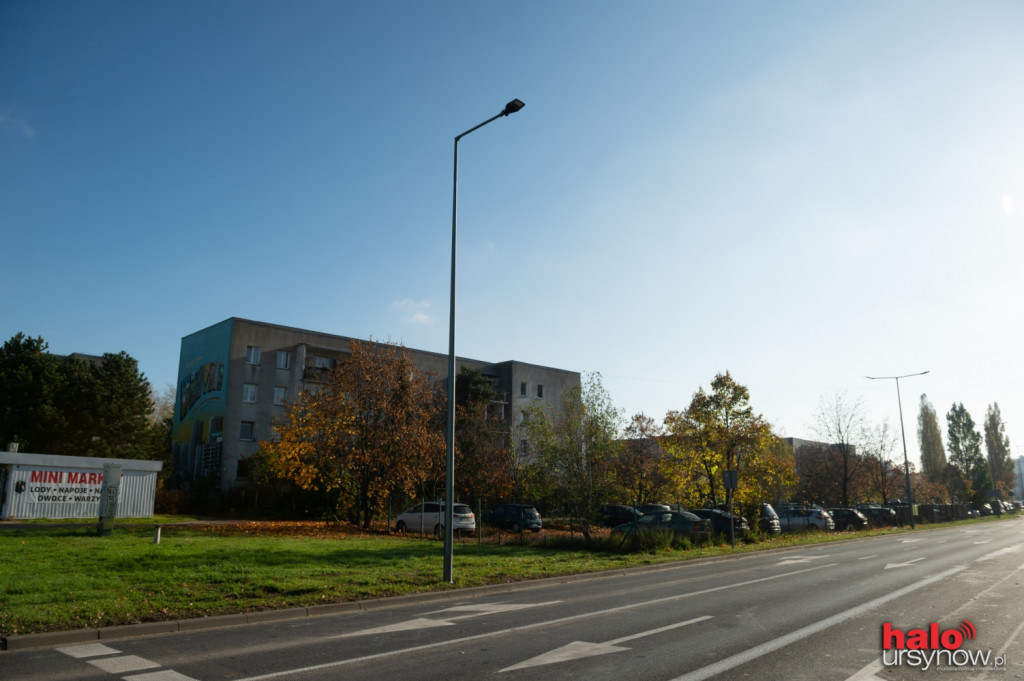 Stryjeńskich sowa skończona