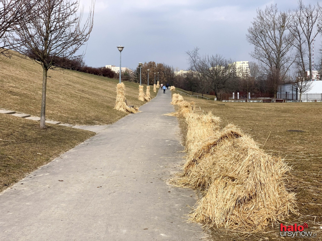 Po zimowym zjeżdżaniu na sankach zostały wspomnienia i... góra siana. Kiedy zniknie?