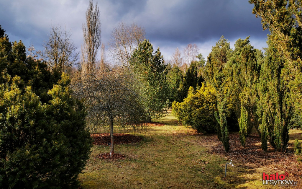 Spędź Wielkanoc szukając wiosny w Ogrodzie Botanicznym