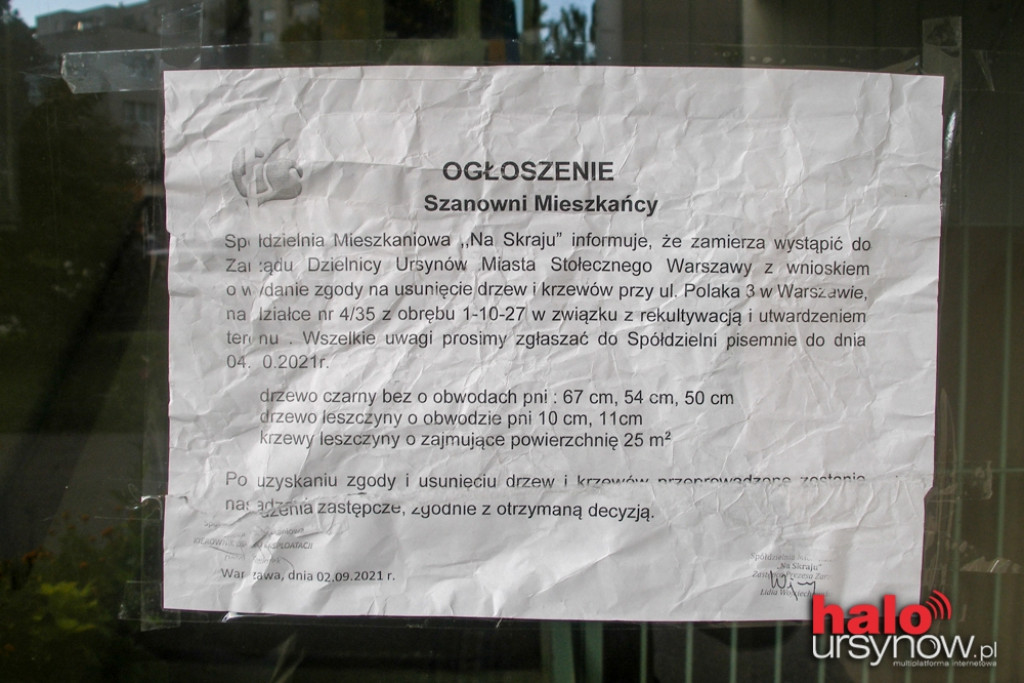 Wycinają kolejne drzewa pod parking. ?Pomysł absurdalny i szkodliwy?
