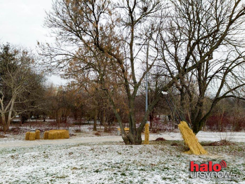 Ursynowskie górki gotowe na zimę. Wokół latarni i ławek znów pojawiła się słoma