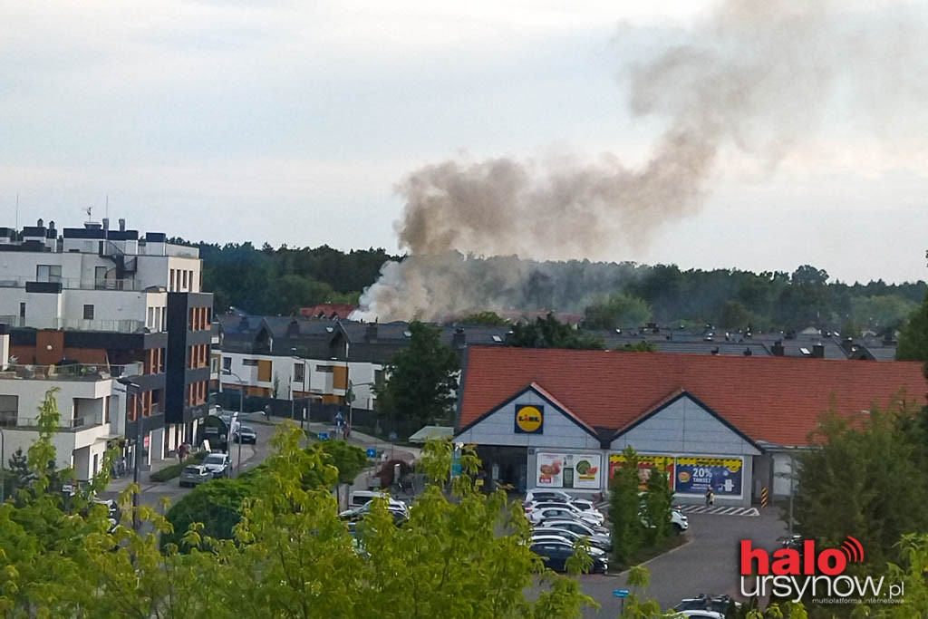 Pożar na Kabatach. Ogień strawił dach pustostanu FOTO