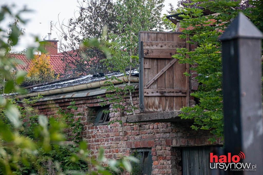 Pożar na Kabatach. Ogień strawił dach pustostanu FOTO