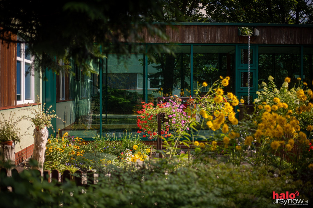 Przedszkole nr 351 z Warchałowskiego - ogródek