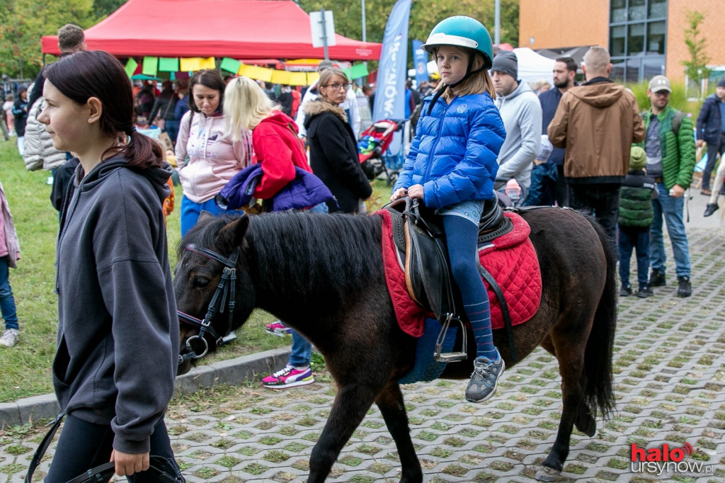 Super sąsiedzka zabawa na Święcie Zielonego Ursynowa [ZOBACZ ZDJĘCIA]
