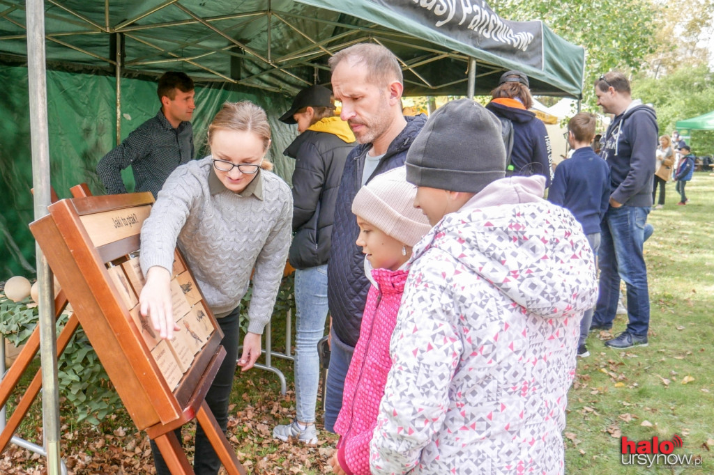 Odczarowali Hospicjum po raz dziewiąty!