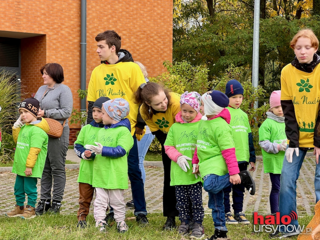 ?Pola Nadziei? przygotowane. Uczniowie zasadzili setki żonkili