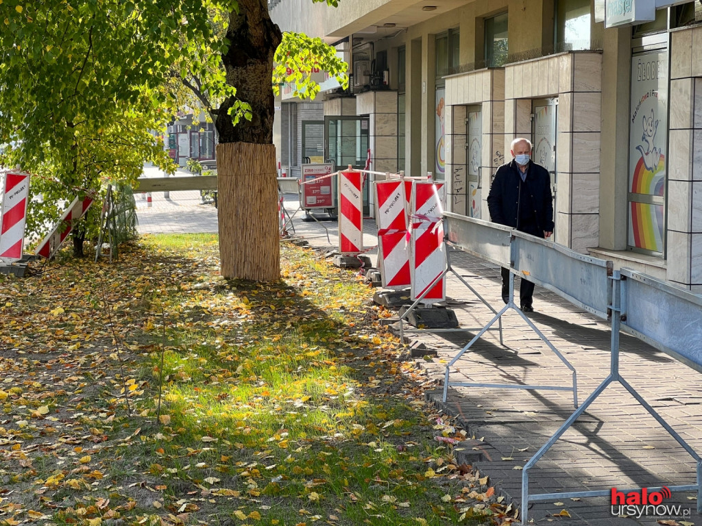 Drzewo z ?nekrologiem? jest już bezpieczne. Przy al. KEN ubyło chodnika