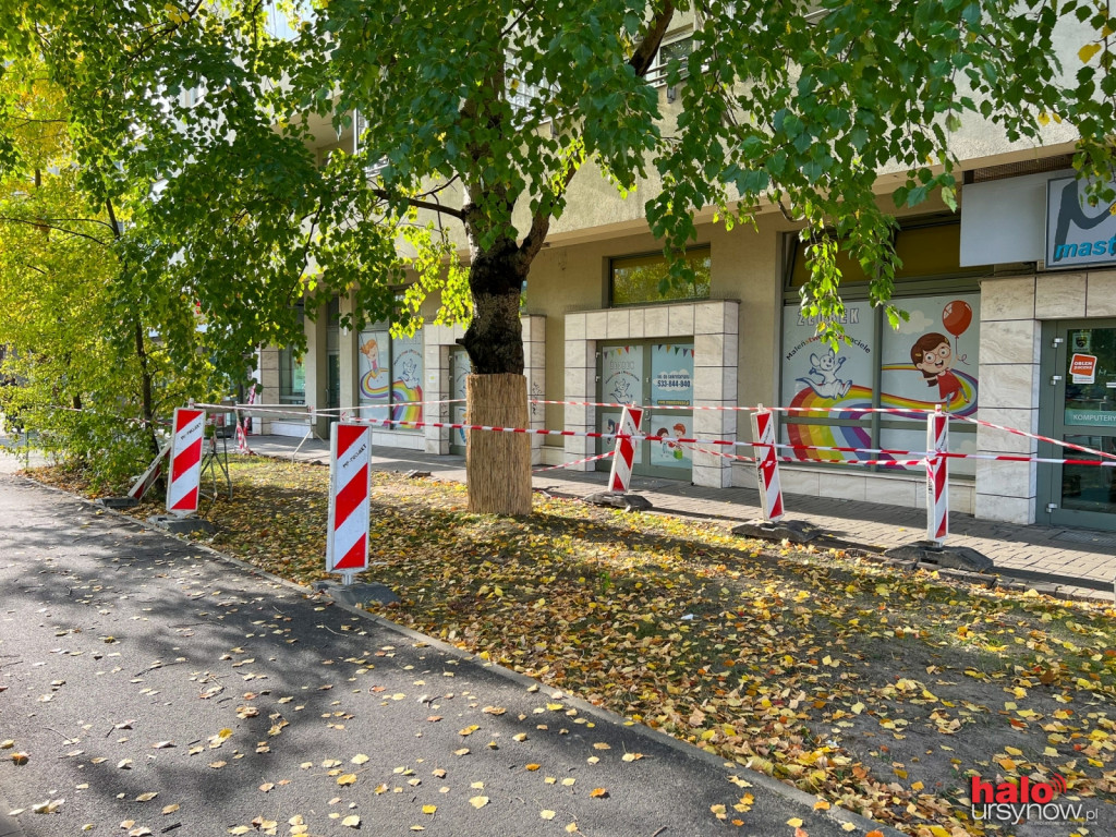 Drzewo z ?nekrologiem? jest już bezpieczne. Przy al. KEN ubyło chodnika