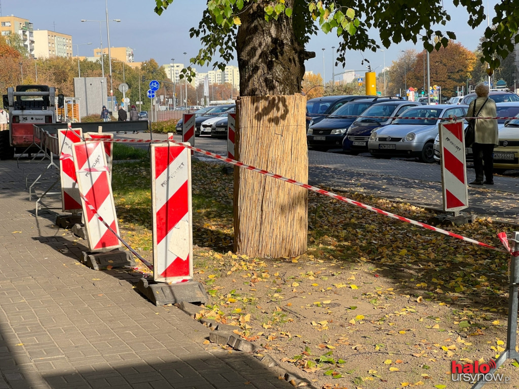Drzewo z ?nekrologiem? jest już bezpieczne. Przy al. KEN ubyło chodnika