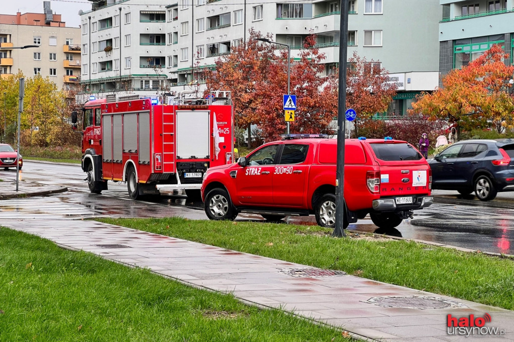 Pożar na Wąwozowej. Potworne zadymienie. Strażak trafił do szpitala