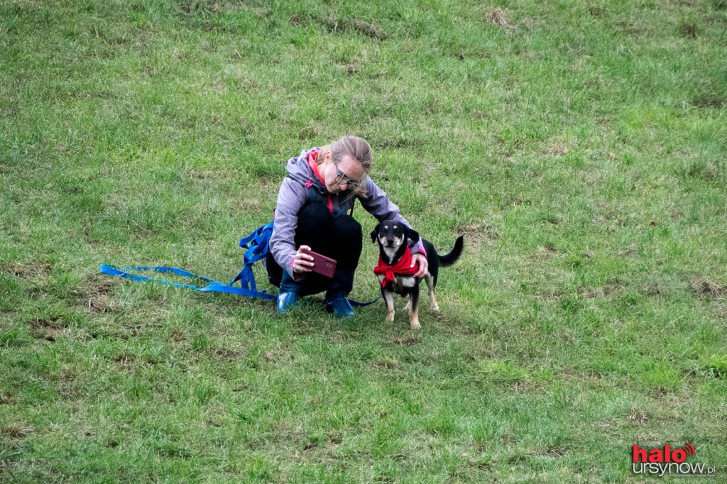 Dzień Kundelka pod Kopą Cwila