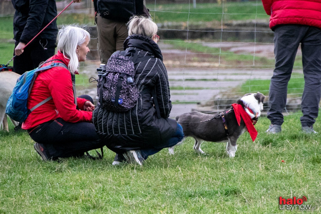 Dzień Kundelka pod Kopą Cwila