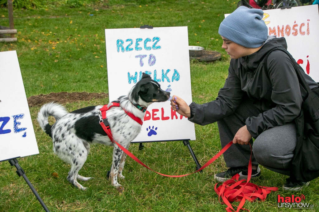 Dzień Kundelka pod Kopą Cwila