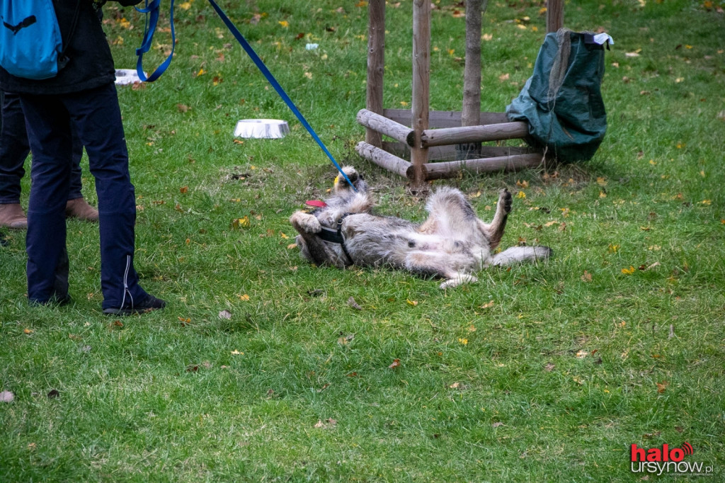 Dzień Kundelka pod Kopą Cwila
