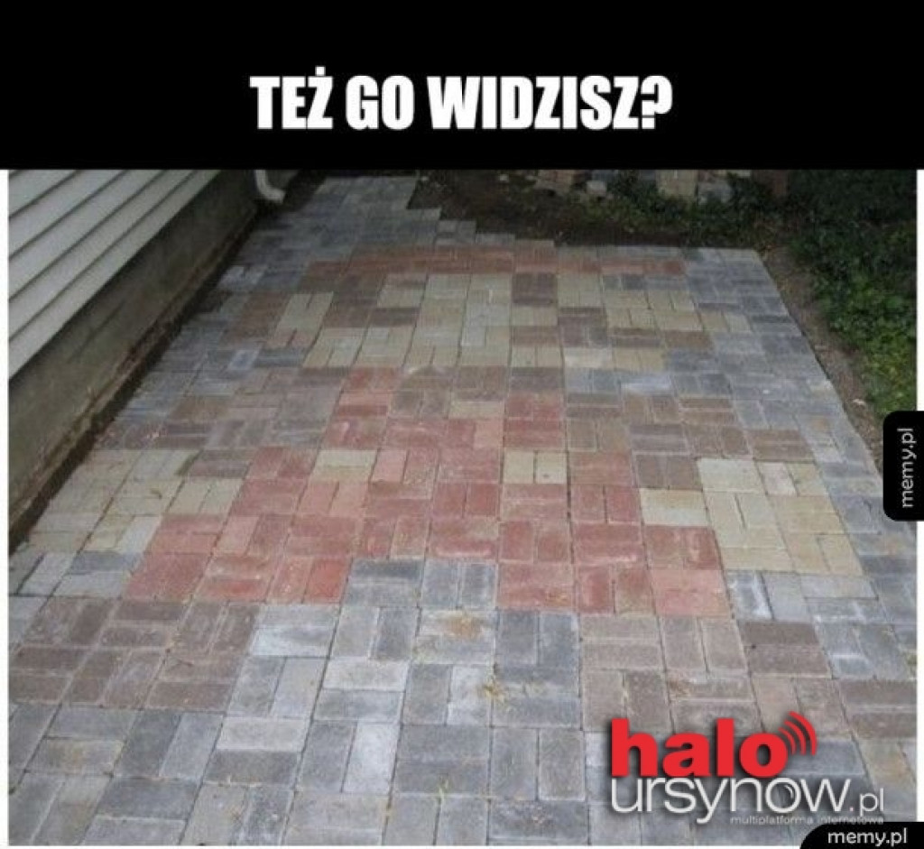 ?Jak dobrze, że położyli płyty?. A co jest nie tak z kostką Bauma?