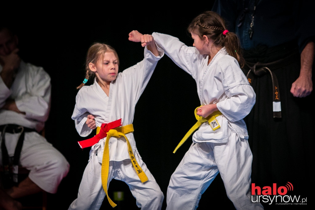 Puchar Burmistrza Ursynowa w Karate Tradycyjnym