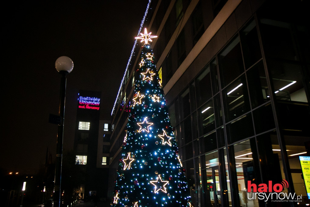 Przed ratuszem rozbłysła świąteczna iluminacja!