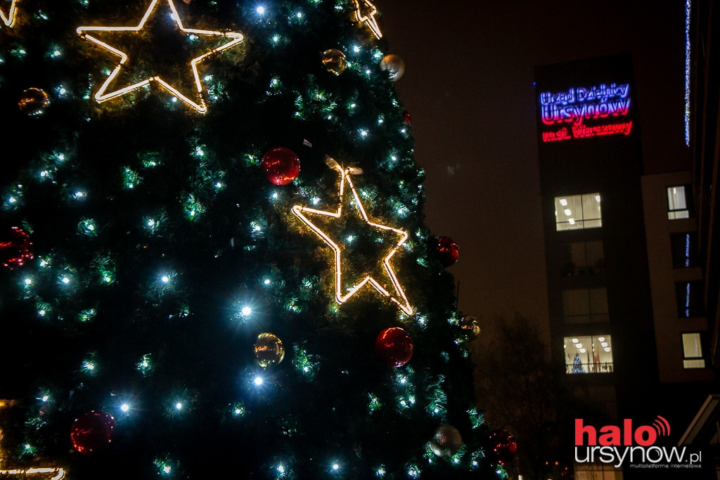 Przed ratuszem rozbłysła świąteczna iluminacja!