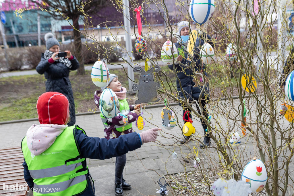 Wielkanocne drzewko 'zakwitło' na Ursynowie!
