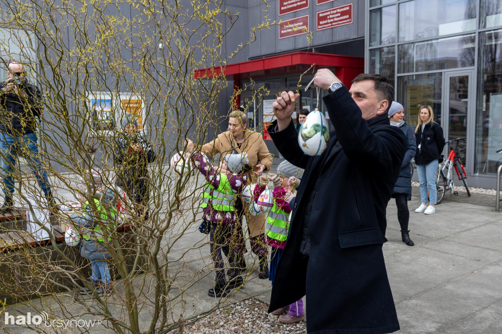 Wielkanocne drzewko 'zakwitło' na Ursynowie!