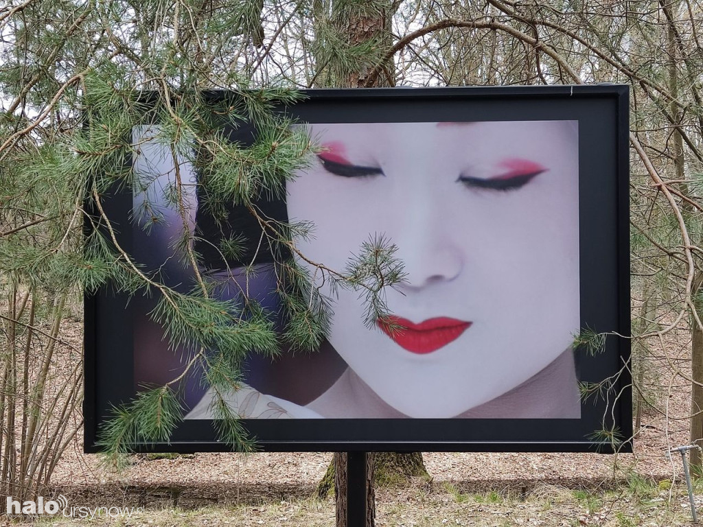 Ogród Botaniczny na święta