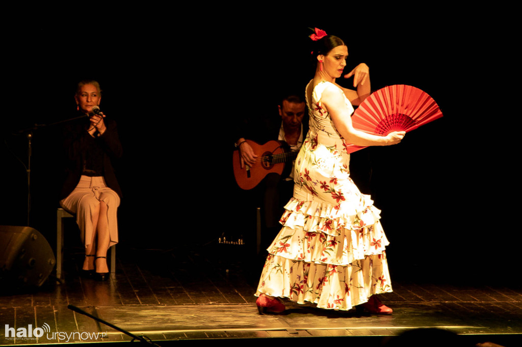 Ole! Flamenco w Domu Sztuki