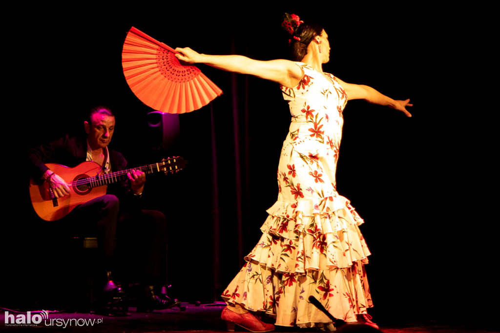 Ole! Flamenco w Domu Sztuki