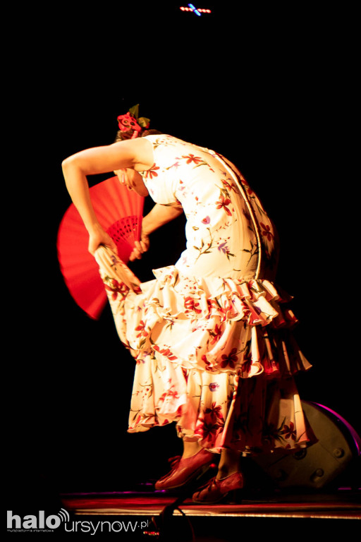 Ole! Flamenco w Domu Sztuki