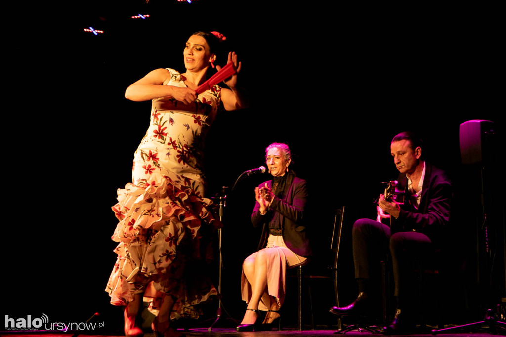 Ole! Flamenco w Domu Sztuki