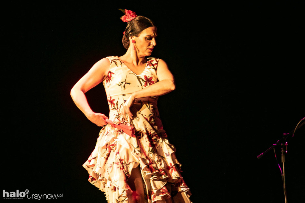 Ole! Flamenco w Domu Sztuki