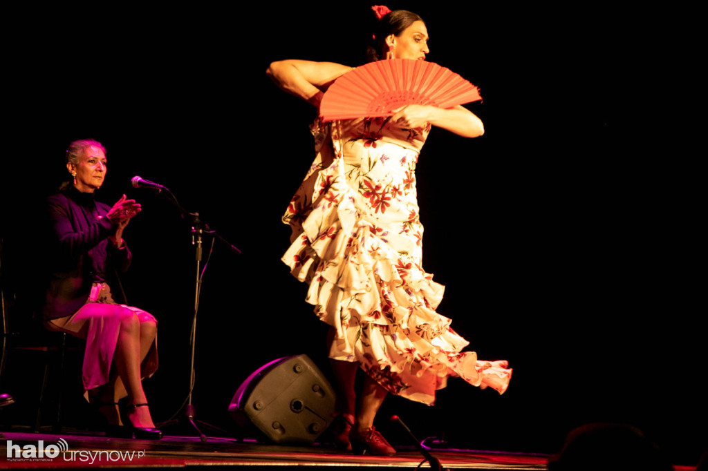 Ole! Flamenco w Domu Sztuki