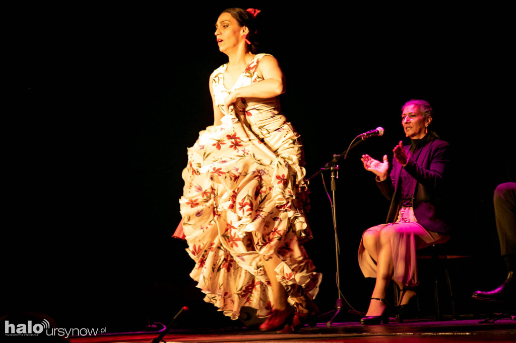 Ole! Flamenco w Domu Sztuki