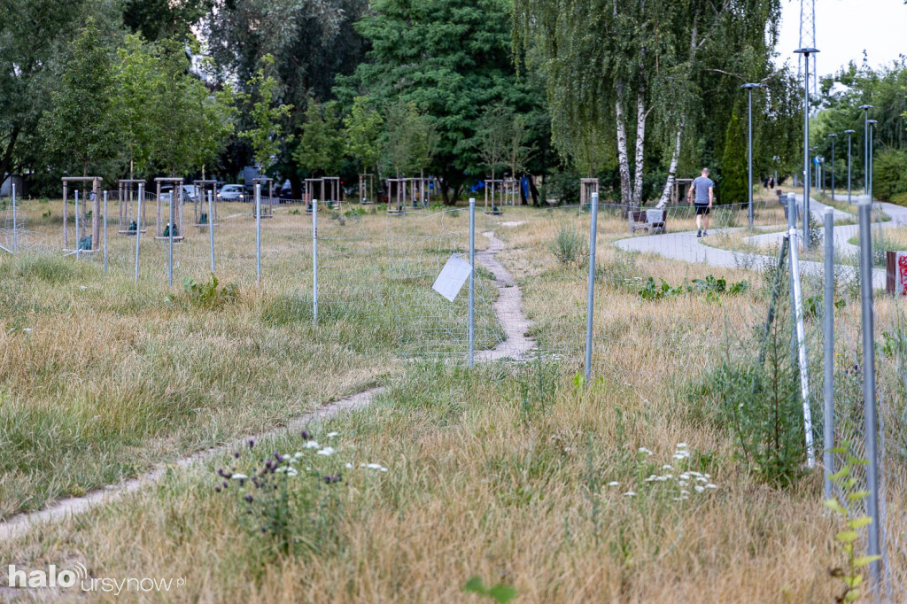 Zniszczone ogrodzenie na Kabatach