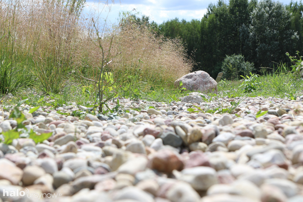 Tak po 2 latach budowy wygląda Park Cichociemnych
