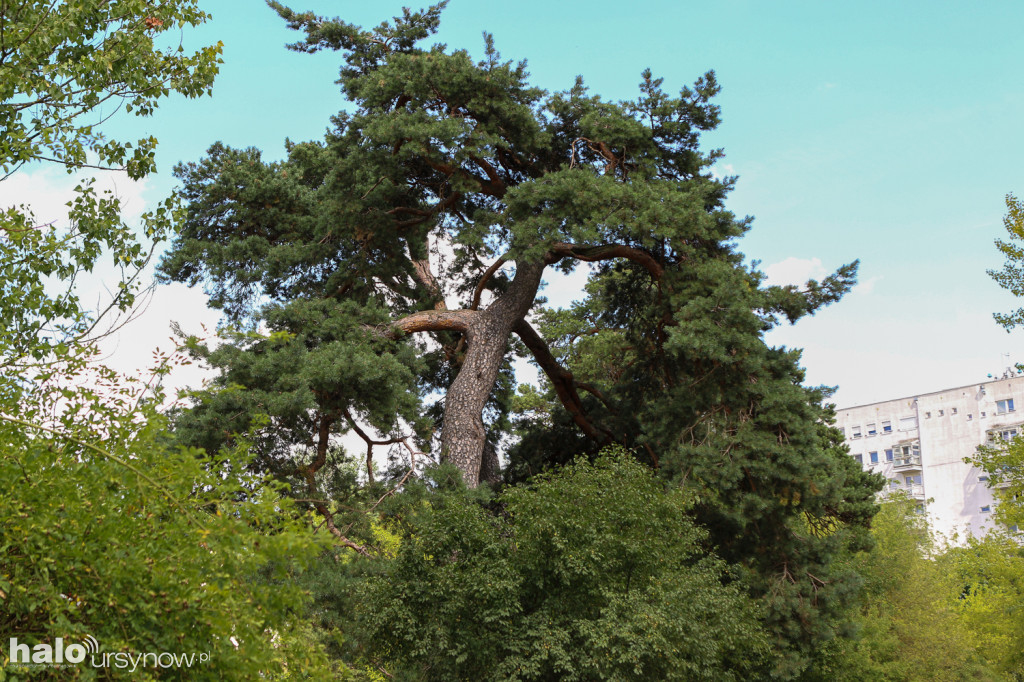 Tak po 2 latach budowy wygląda Park Cichociemnych