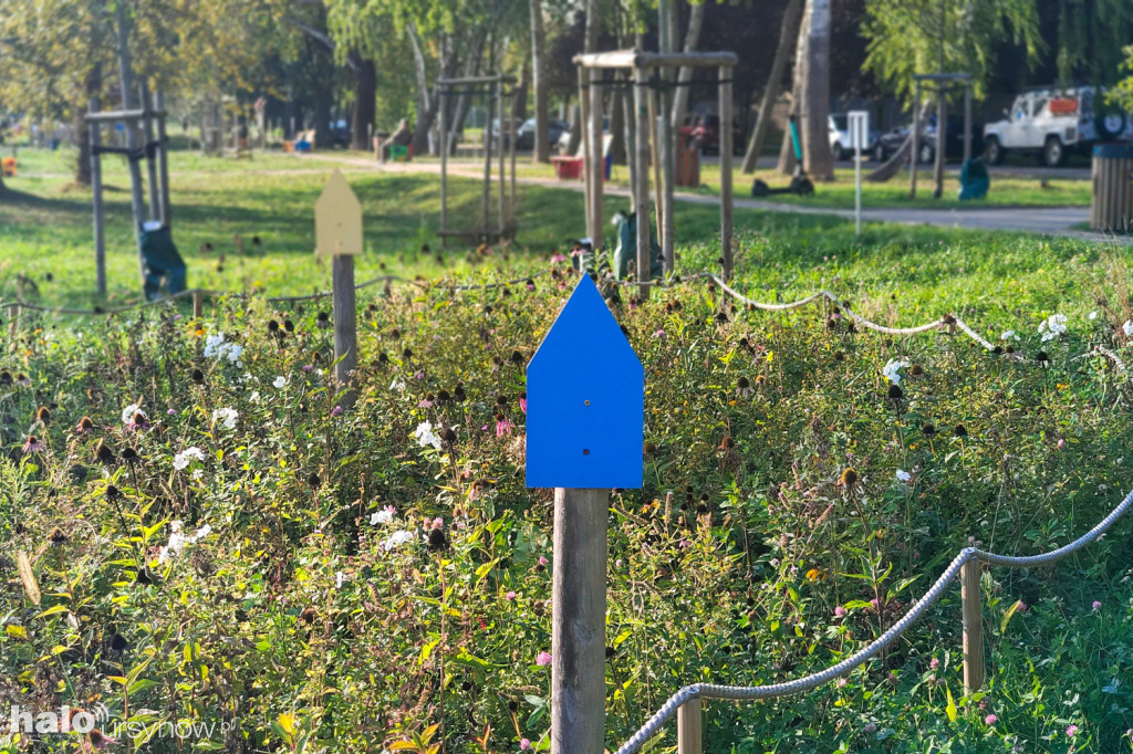 Zdewastowany Park Motyli na Kabatach