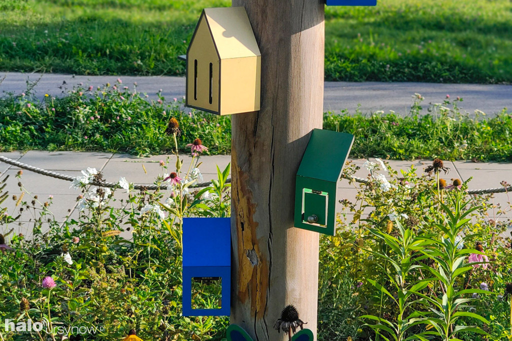 Zdewastowany Park Motyli na Kabatach