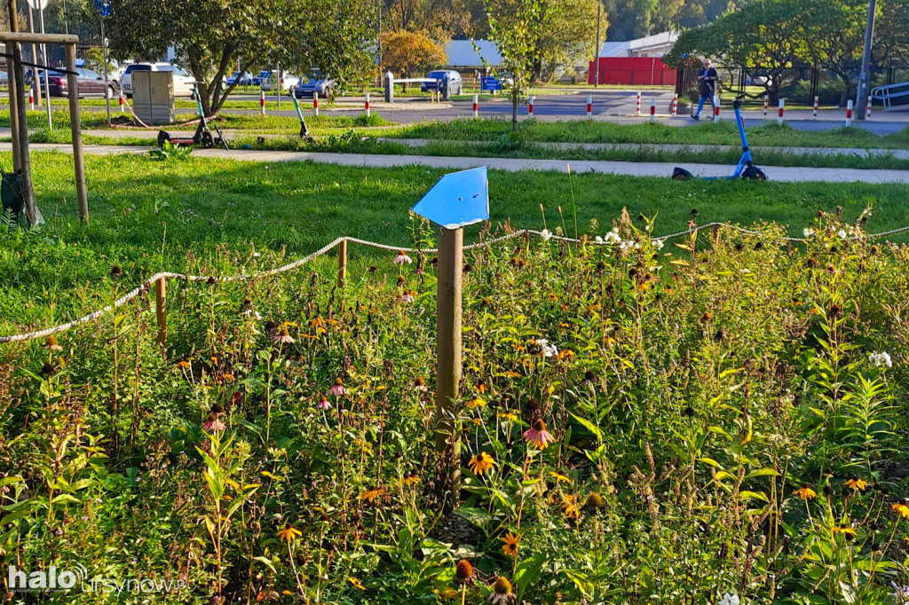 Zdewastowany Park Motyli na Kabatach