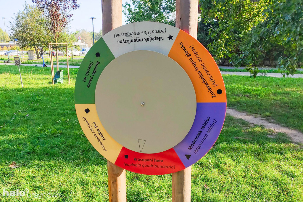 Zdewastowany Park Motyli na Kabatach